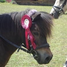 Anden særlig race » Tarzan. 