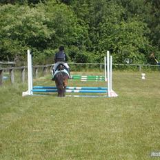 Anden særlig race » Tarzan. 