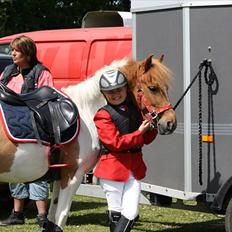 Anden særlig race MISS MERCERY