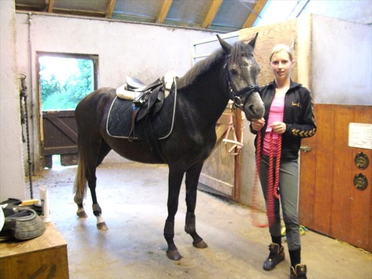 New Forest Løgtholt´s Fidika *R.I.P* billede 13