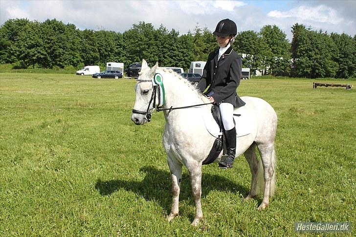 Anden særlig race Cédric Vasseur *SOLGT* - 3. plads i Kragelund. Fotograf: Christina´s mor. billede 20