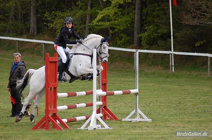 Knabstrupper Ziggie Stardust <3 -  morsø 2010<3foto:Louise Svenningsen billede 11