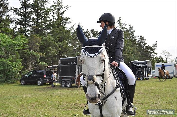 Knabstrupper Ziggie Stardust <3 - søndertoft rideklub 6/6 2010<3 foto:Karen billede 13