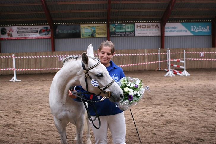 DSP Dorreen - 20.06.10: Dorreen kåret som Dagens Springhoppe, udtaget til Eliteskue i DSP billede 16