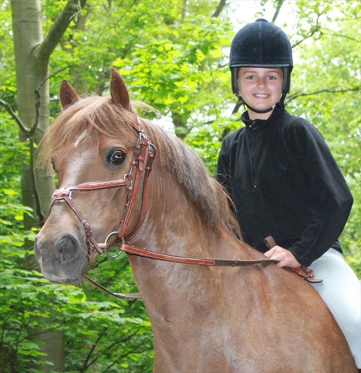 New Forest Simba Grisen <333333 - Billed 12: Der er kun en rigtig Simba og det er dig billede 11