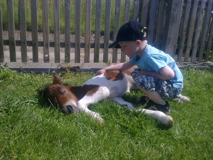 Anden særlig race lille mand hvil fred. :'( billede 3