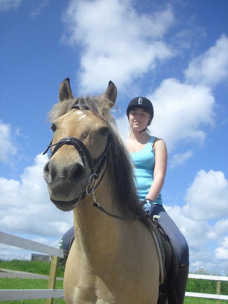 Anden særlig race Sandgårdens Fargo<3 ( Solgt) - Foto: Nanna Ravn. »Dejlig solskins dag, sommeren 2010 <3 billede 10