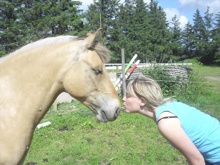 Anden særlig race Sandgårdens Fargo<3 ( Solgt) - Foto: Nanna Ravn. »Møøss! <3 billede 12