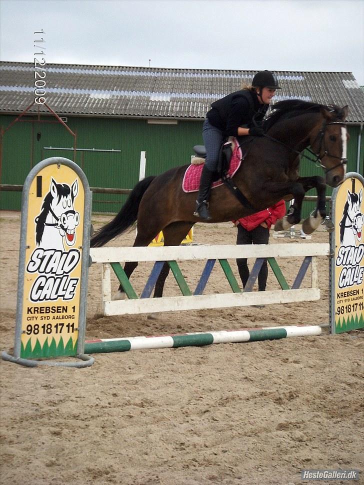 Anden særlig race Millenium Pride - Spring!:D Foto: Christinna Würtz. billede 11