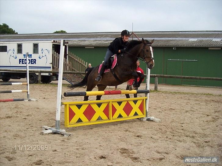 Anden særlig race Millenium Pride - Spring!:D Foto: Christinna Würtz.  billede 12