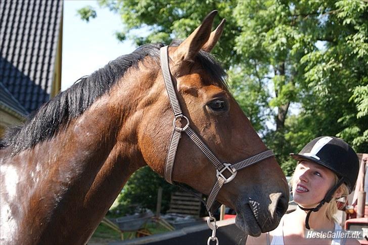 Dansk Varmblod Miss Cuba Xpart - Et billede siger mere end 1000 ord.<3 Jeg elsker dig virkelig! billede 18