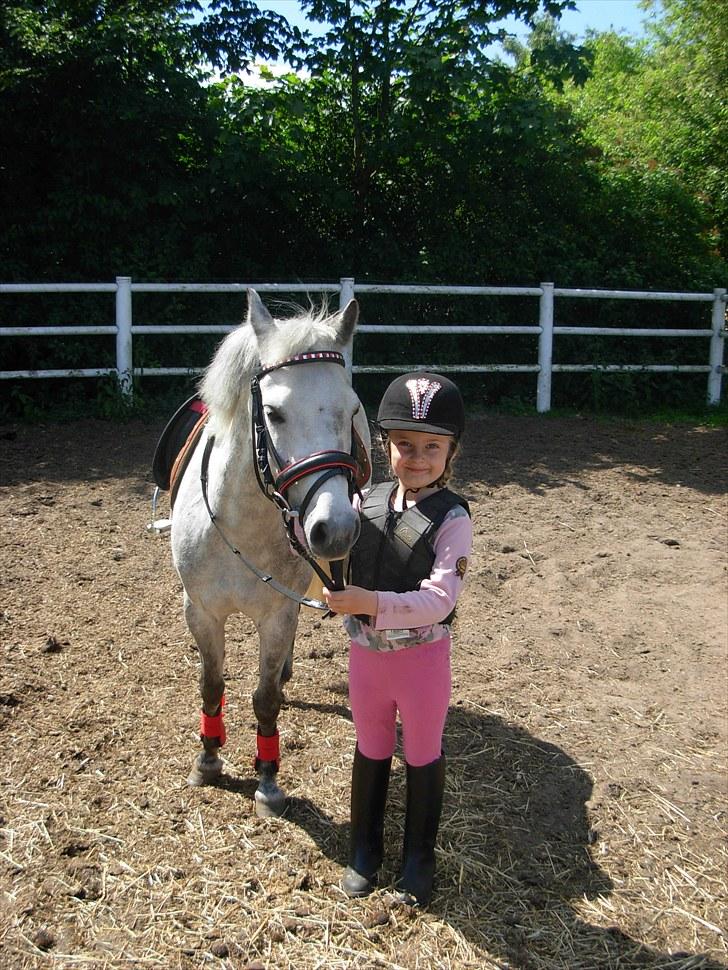 Anden særlig race Grey Star - Så er de klar til deres første ridetur billede 1
