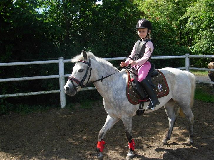 Anden særlig race Grey Star - Så kom hun op lad os så se om hun selv får styret den rundt.  billede 4