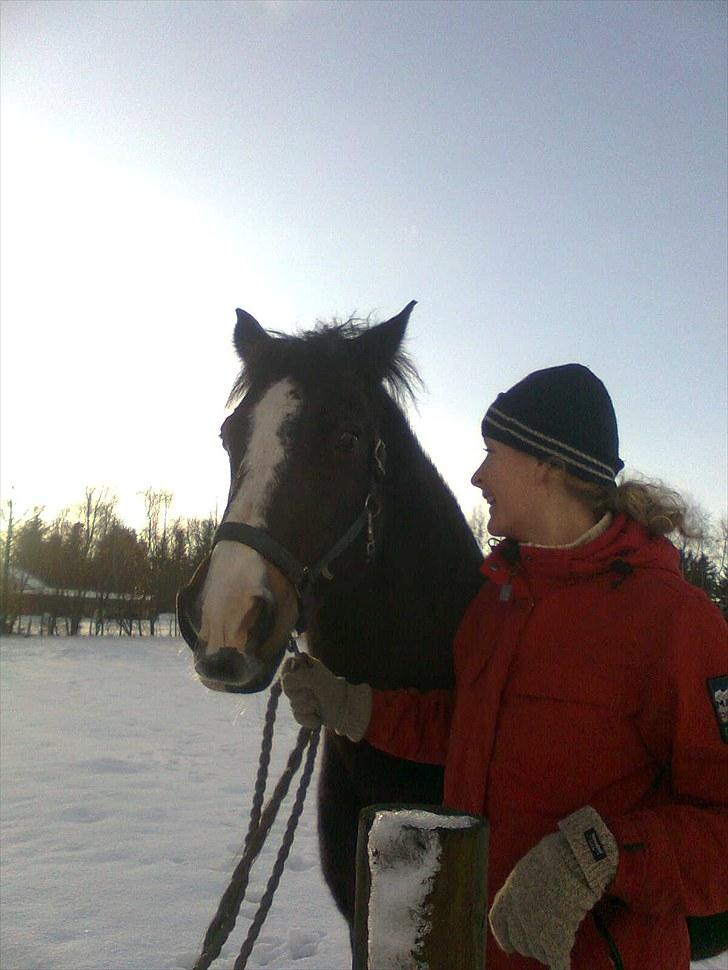 Anden særlig race Kastor<3 R.I.P † - Kastor og hans "Moar" billede 17