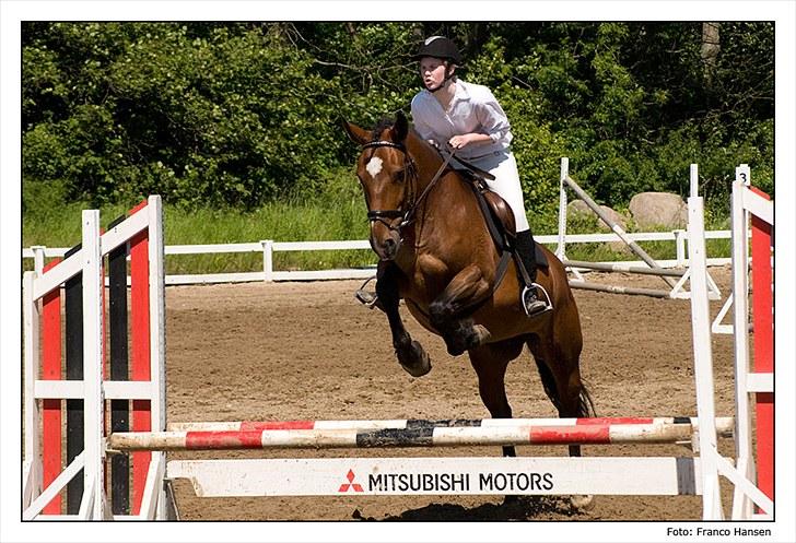 Anden særlig race Bianca *rideskolehest* - Foto: Franco Hansen - stævne på Vosk 20/6-10 billede 6