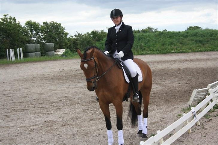 Dansk Varmblod Fortuna  *solgt* - Vores første stævne hvor vi blev placeret med en 1 og 2 plads bare super :) billede 5