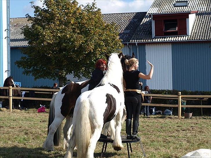 Tinker Mister Charlie SOLGT - Charlie, Rumle, Lisbeth Holm og jeg står sammen på ÉN skammel ;) Egeskov marked 2009 billede 11