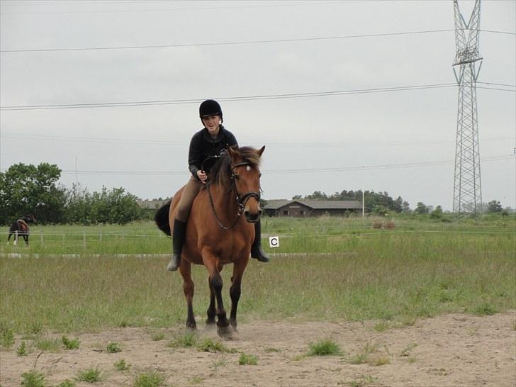 Anden særlig race Cherie *Gl. Part* (Solgt) - 4. En af de sidste gange jeg red med bid på Cherie. Du får mig altid til at grin (:<3 billede 4