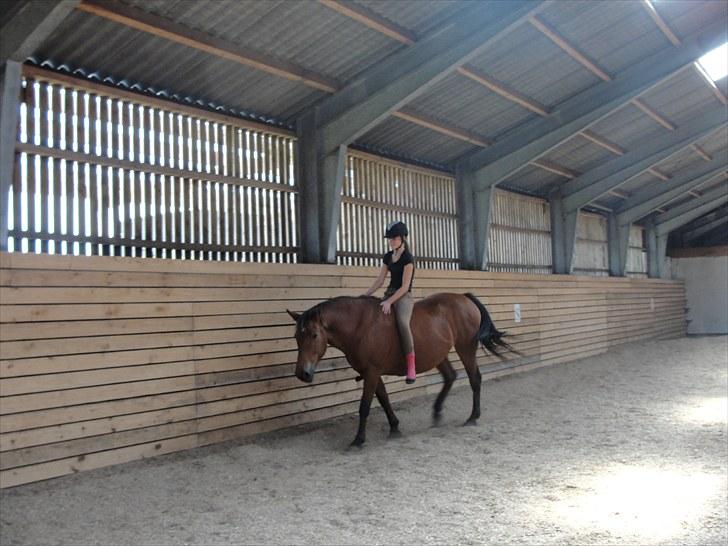 Anden særlig race Cherie *Gl. Part* (Solgt) - 7. At føle sig fri er ikke bare at tage grimen af hesten, men det hele handler om vores tillid skat!<3 Det var kun planlagt jeg skulle forblive Bidrytter, men vores tillid voksede hurtigt og nu er det endelig kommet på billede :D elsker dig skat!<3  billede 7