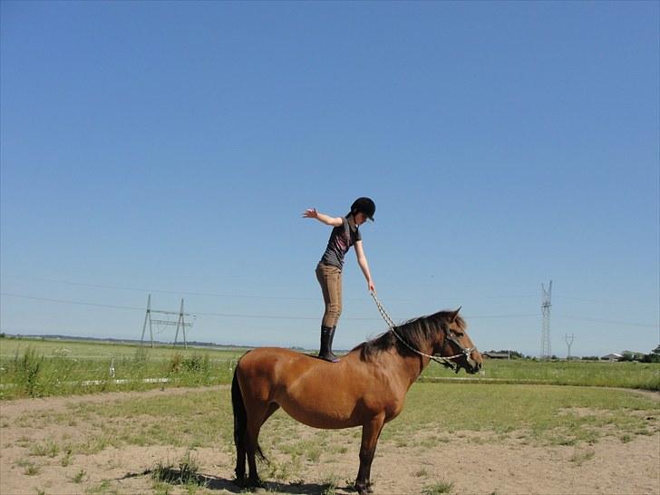 Anden særlig race Cherie *Gl. Part* (Solgt) - 9. Jeg elsker dig af hele mit hjerte skat!<3 jeg stoler på dig og du gør alt fantastisk for mig!<3 billede 9