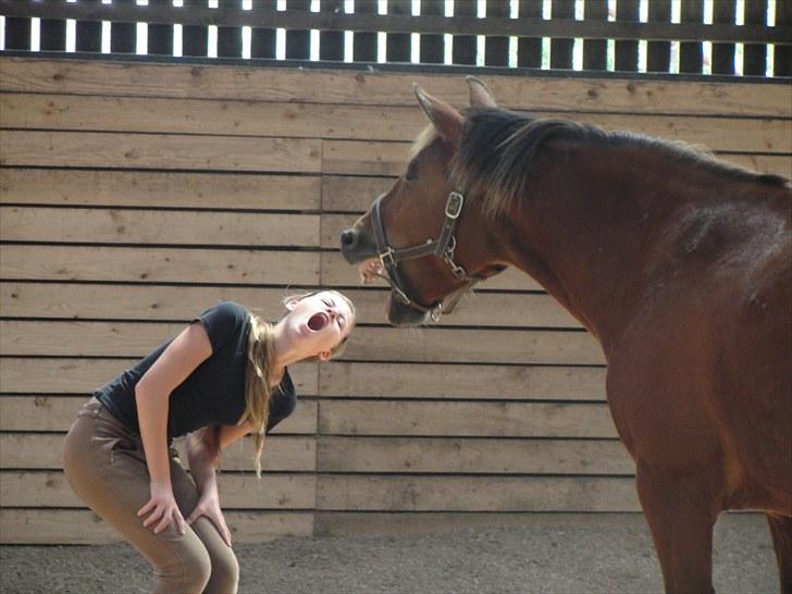 Anden særlig race Cherie *Gl. Part* (Solgt) - 10. IKKE ET TRIKS!! Typiske mig, Cherie gaber, jeg gør det også lige så det ligner vi har lært hende det:D billede 10