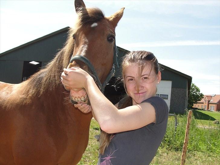 Anden særlig race Cherie *Gl. Part* (Solgt) - 11. Haha Xb du er så sej prinsesse!<3 se lige hendes udtryk, det ene øre frem det andet tilbage og så viser man tænder, så køre det(:<3 billede 11