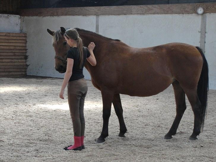 Anden særlig race Cherie *Gl. Part* (Solgt) - 13. Nusse Nusse Nusse, elsker dig virkelig højt min skat!<3 billede 13