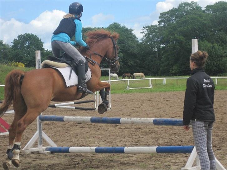 Anden særlig race Moon-Star - Ridelejr 2010 80cm. bane :B billede 9