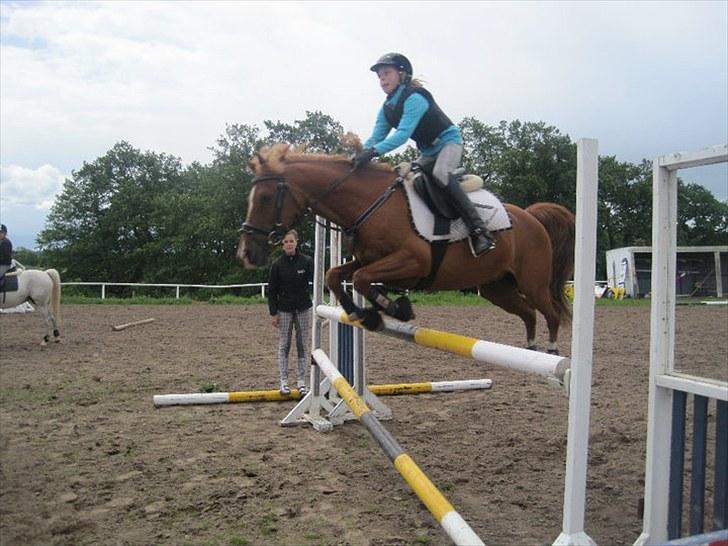 Anden særlig race Moon-Star - Det er så let for dig baSSe!:£ billede 10