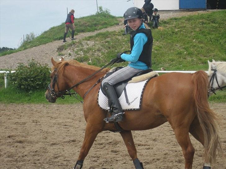 Anden særlig race Moon-Star - Skridt! :P billede 11