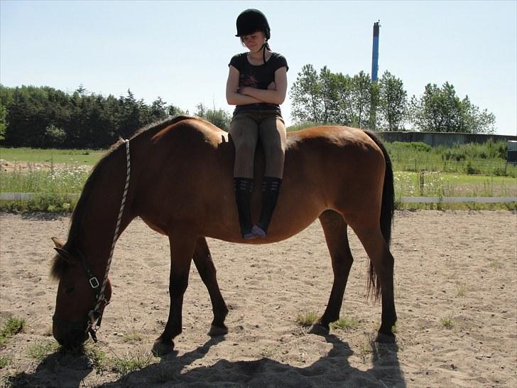 Anden særlig race Cherie *Gl. Part* (Solgt) - 17. Hehe, ja hvad kan man sige? billede 17