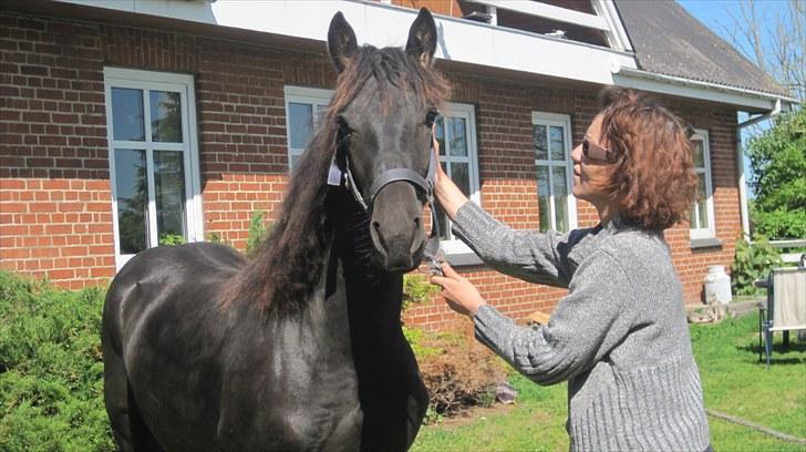 Frieser Rex <3 billede 8