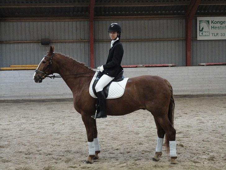 Frederiksborg Lasse Lykkebo :) ~ † R.I.P. † - Han er sååå fiin! <3 billede 1