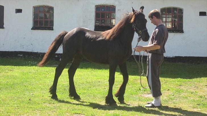 Frieser Rex <3 billede 10