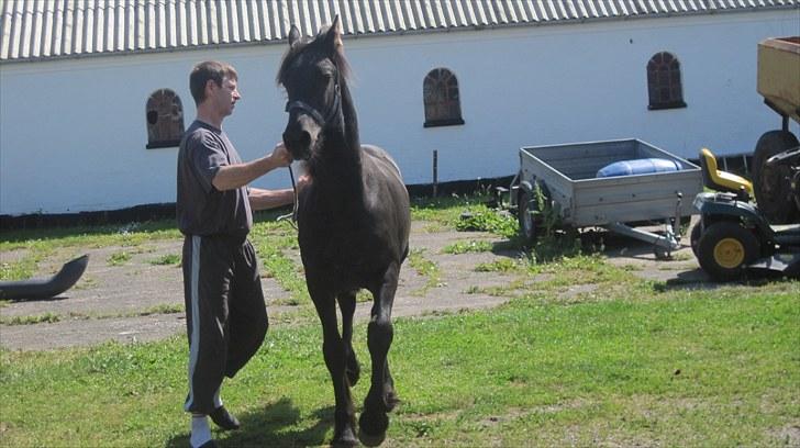 Frieser Rex <3 billede 11