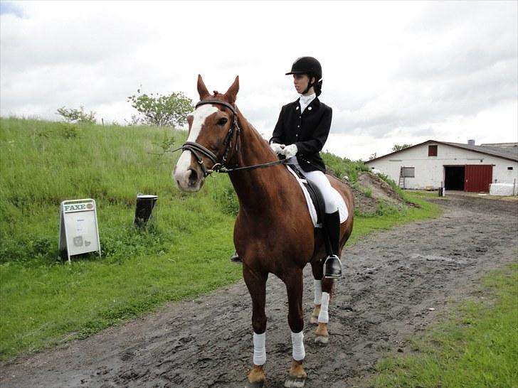 Frederiksborg Lasse Lykkebo :) ~ † R.I.P. † - Lige inden vi skulle på banen :) billede 2