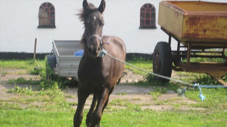 Frieser Thor<3 [SOLGT] billede 2