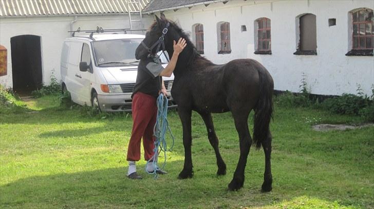 Frieser Thor<3 [SOLGT] billede 3