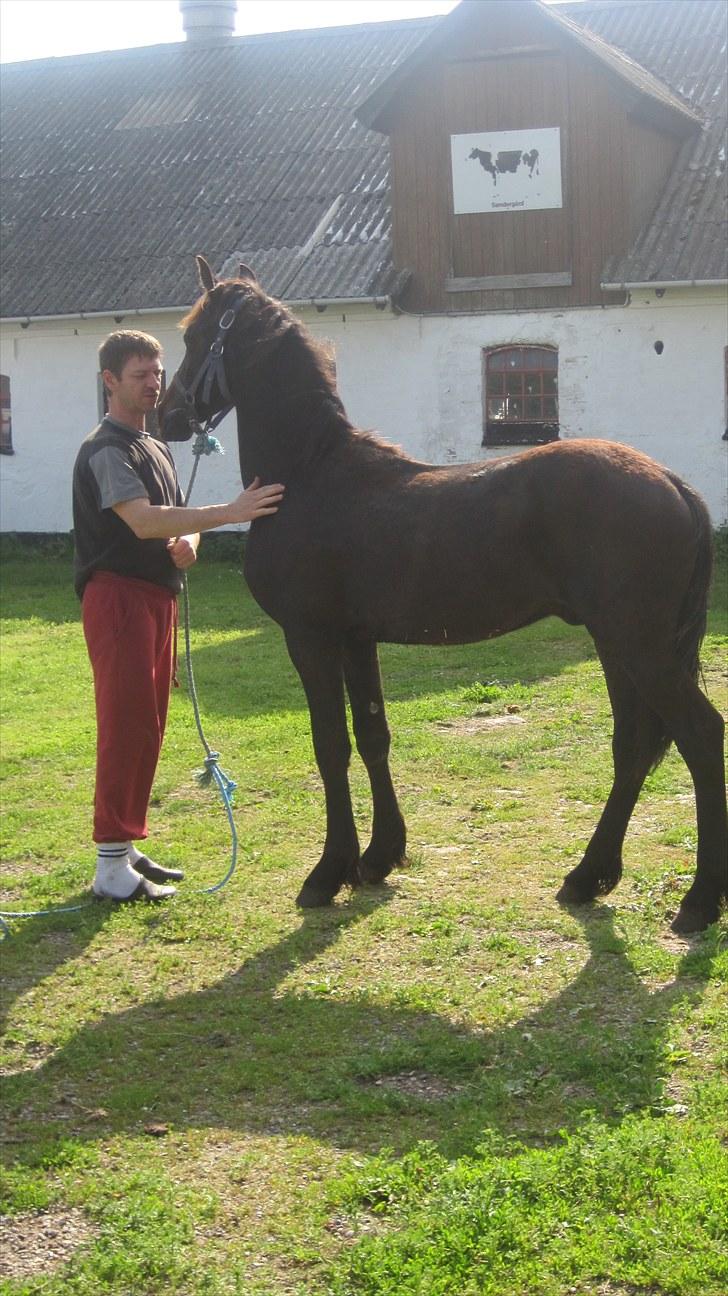 Frieser Thor<3 [SOLGT] billede 4