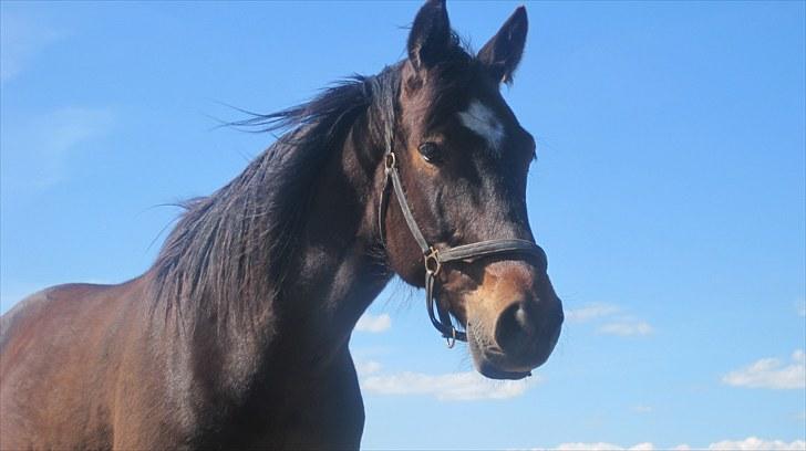 Traver Gucci <3 [SOLGT:'(] billede 10