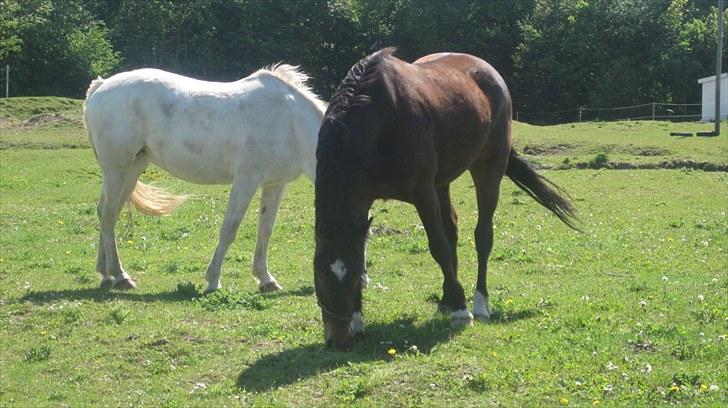 Traver Gucci <3 [SOLGT:'(] billede 18