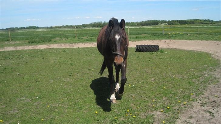 Traver Gucci <3 [SOLGT:'(] billede 12