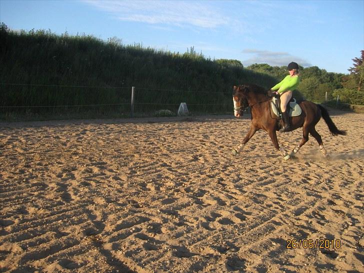 DSP simba<3 (bassemand) - min lille dressur pony<33 billede 5