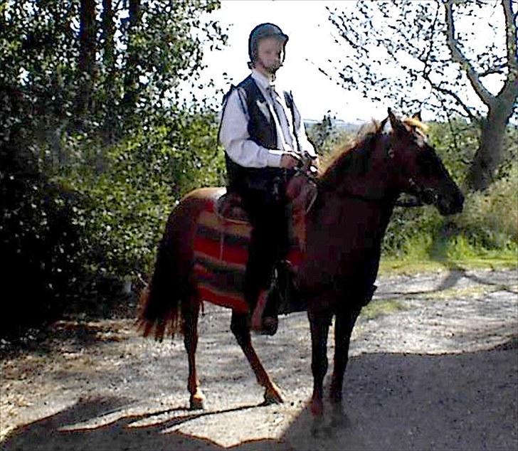 Anden særlig race My Fair billede 6