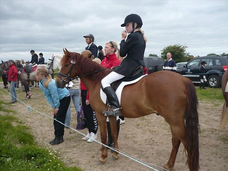 Anden særlig race Mccoy - vi tjekker bane ;D <3  billede 10