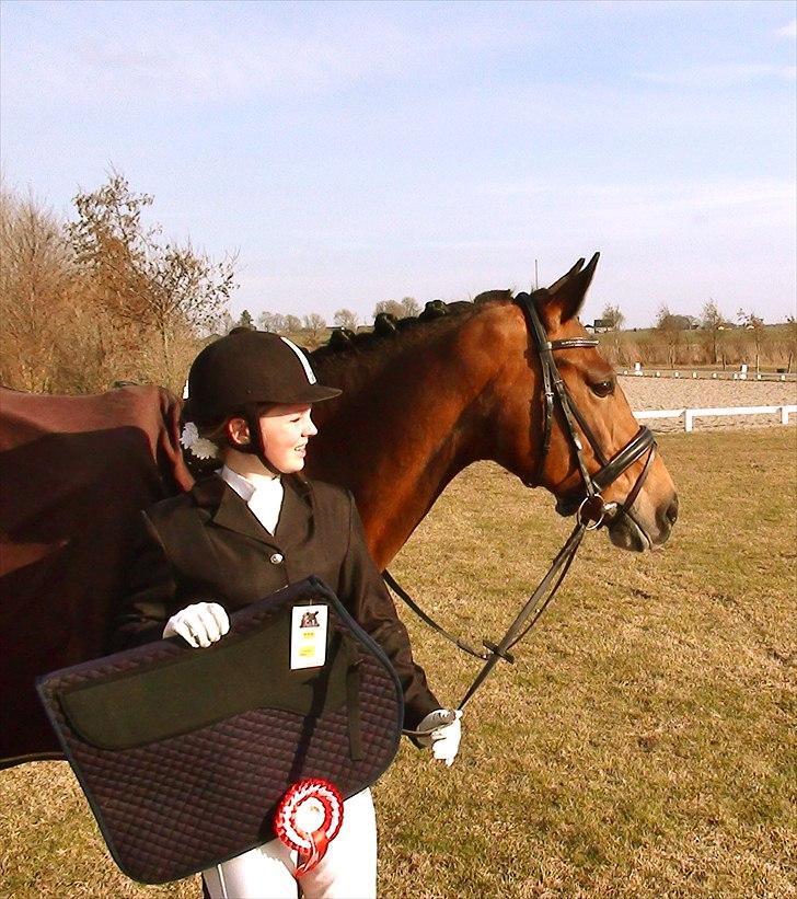 Hollandsk Sportspony Andorra *B-pony* Solgt - første plads i ringsted <3 billede 4