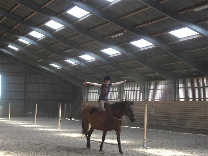 Anden særlig race Cherie *Gl. Part* (Solgt) - 18. Fordi jeg elsker dig af hele mit hjerte<3 Bidløst til vi skilles!<3 billede 18