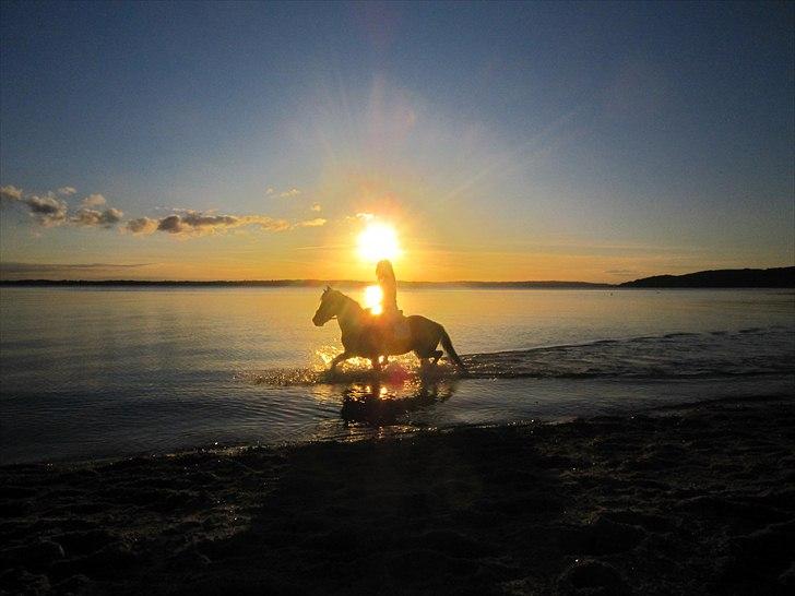 Anden særlig race Rokkesine - mig og den over skønne pony rokkesine ved tranden det var såå hygeligt<3  ELSKER BARE DEN PONY :)= billede 19