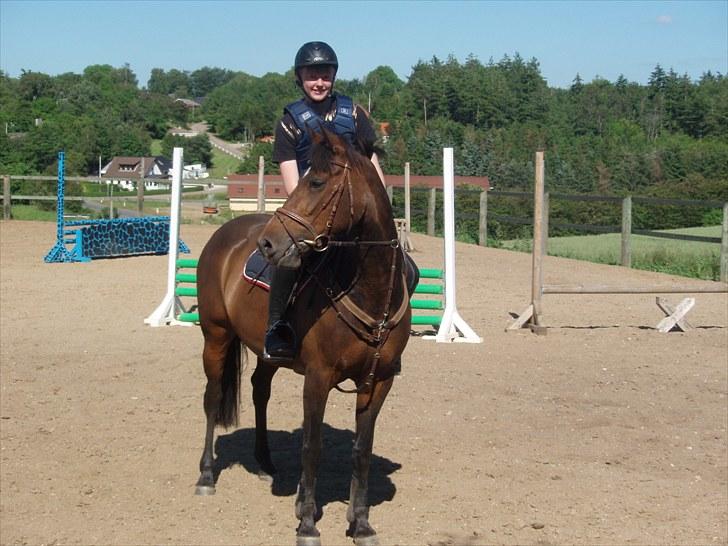 Tysk Sportspony Nixe Noel - 4. Første gang jeg rider hende d. 27/6-2010.. :) billede 4