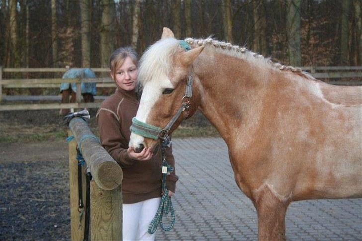 Anden særlig race Pablo billede 10
